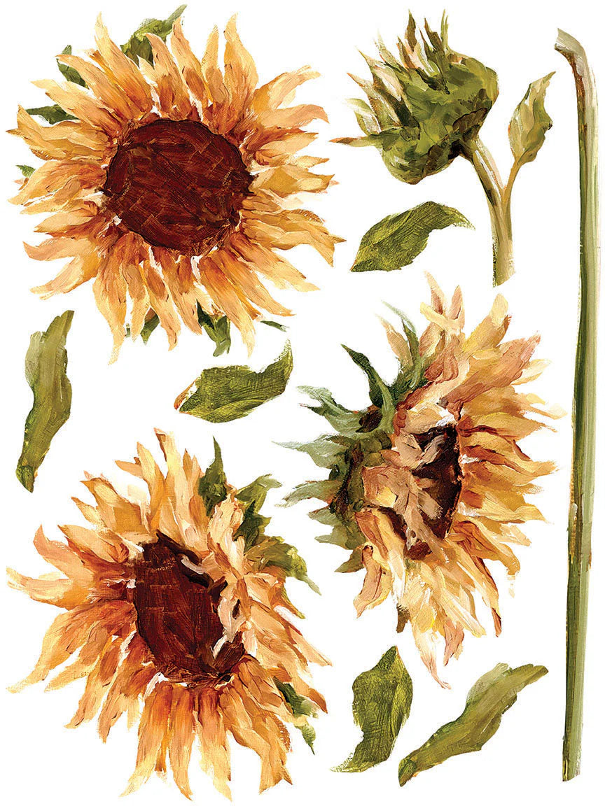 Painterly Floral - 8 Sheet, 12x16 Pad IOD Decor Transfer™