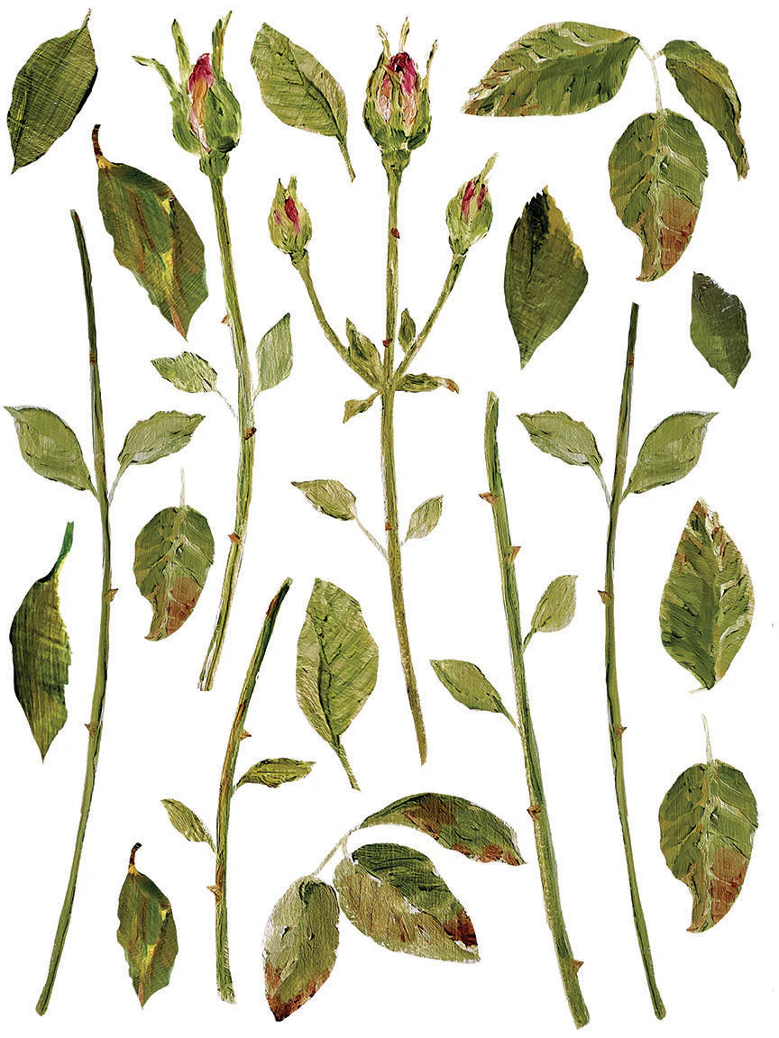Painterly Floral - 8 Sheet, 12x16 Pad IOD Decor Transfer™