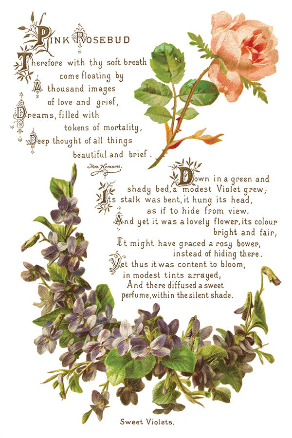 Lover of Flowers - 8 Sheet, 8x12 Pad IOD Decor Transfer™