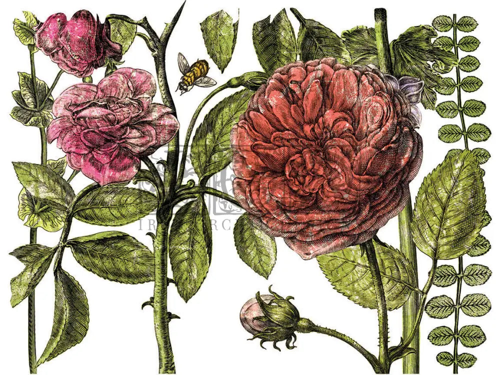 Botanist Journal -4 Sheet, 12x16 Pad IOD Decor Transfer™ 2018