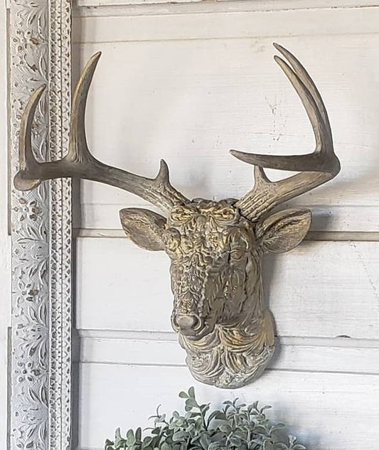 02-22-25 Sat - Vintage Deer Head Mount (Sat 1pm-3:30pm)