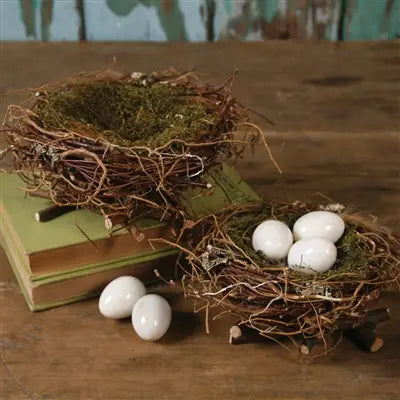 Wrens Twig Nest