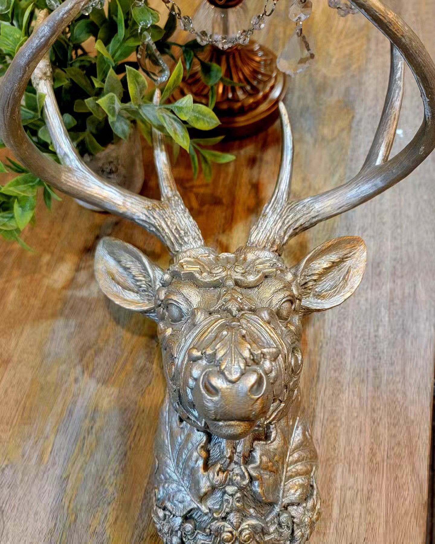 01-31-26 (12pm-3pm) Vintagey Deer Head Mount