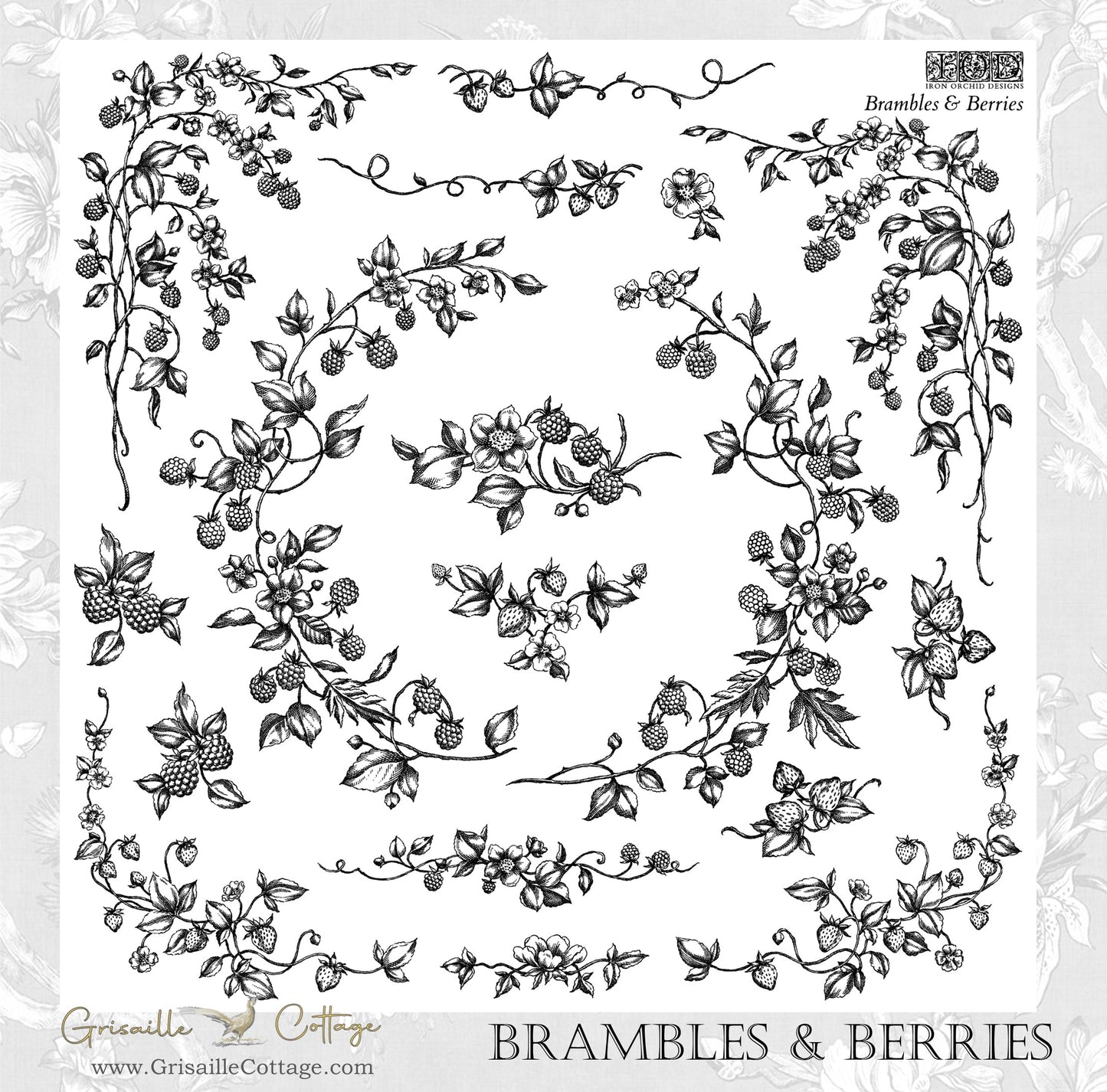 Brambles & Berries - IOD Decor Stamp
