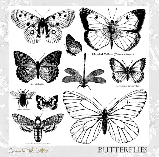 Butterflies ~ IOD Decor Stamp