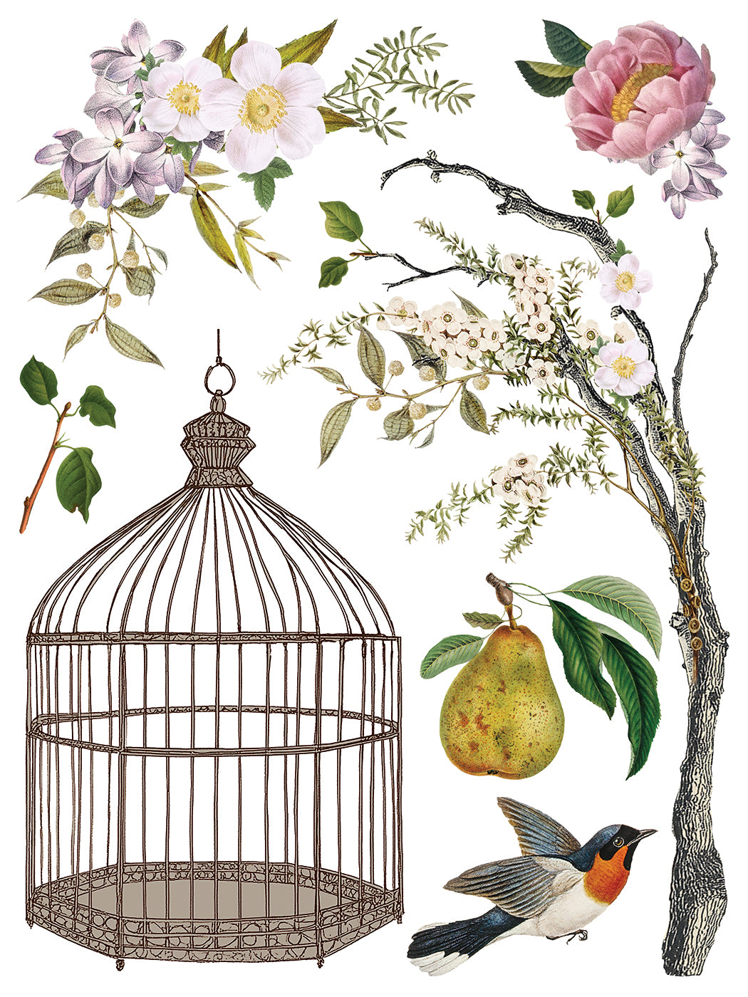Menagerie - 8 Sheet, 12x16 Pad IOD Decor Transfer™