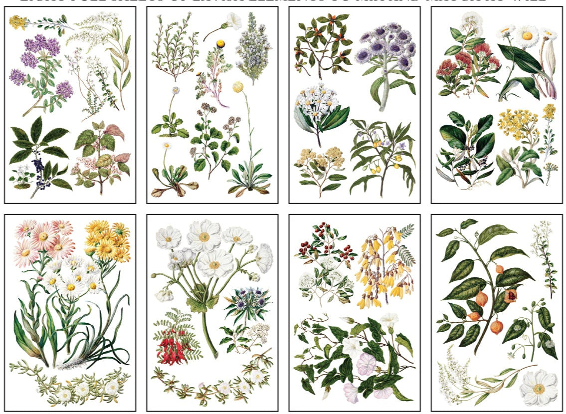 Sarah Featon's Botanical - 8 Sheet, 8x12 Pad IOD Decor Transfer™