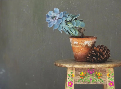 Vida Flora - 8 Sheet, 12x16 Pad IOD Paint Inlay™