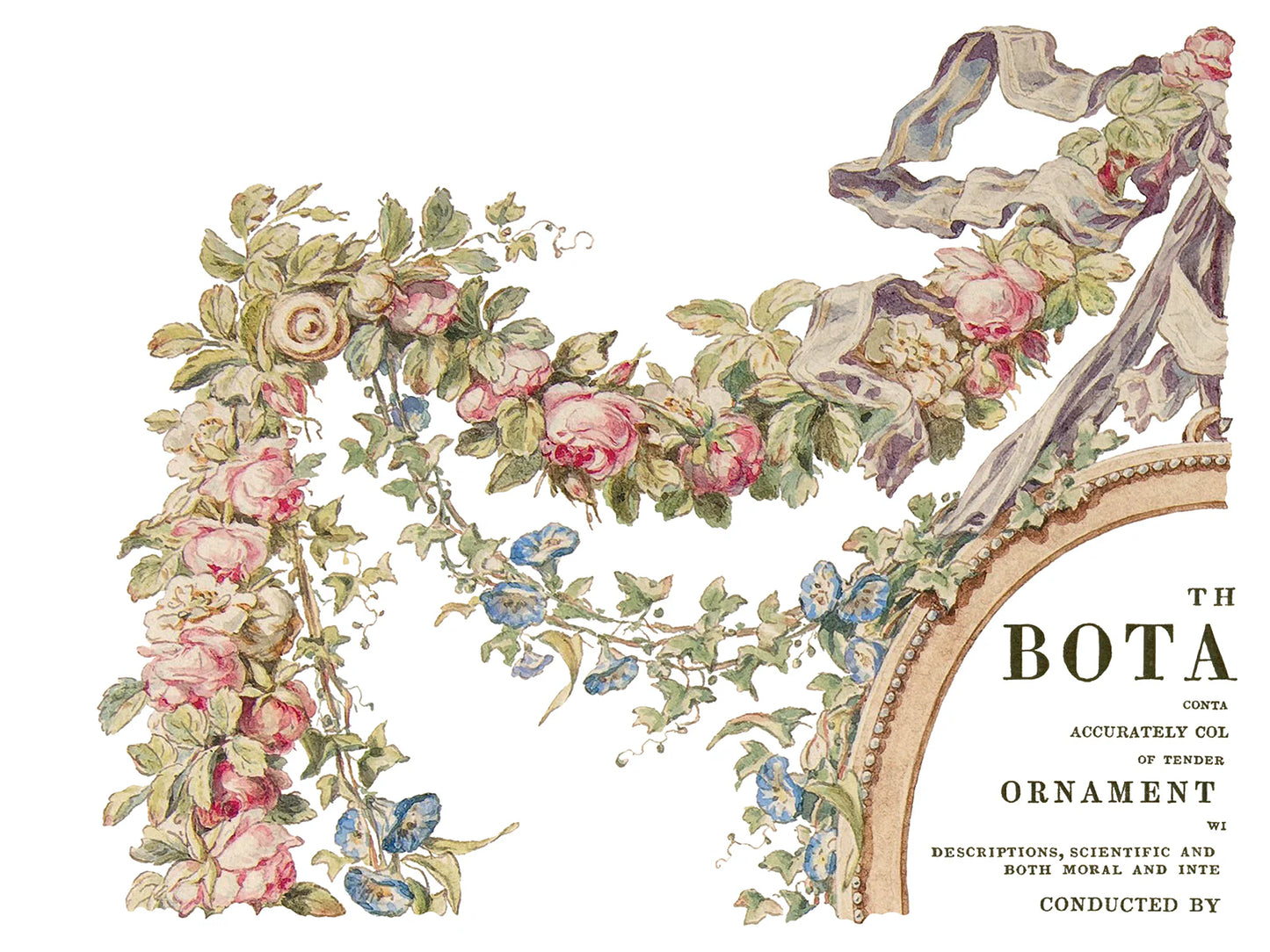The Botanist -  4 Sheets, 12x16 Pad IOD Decor Transfer RETIRED