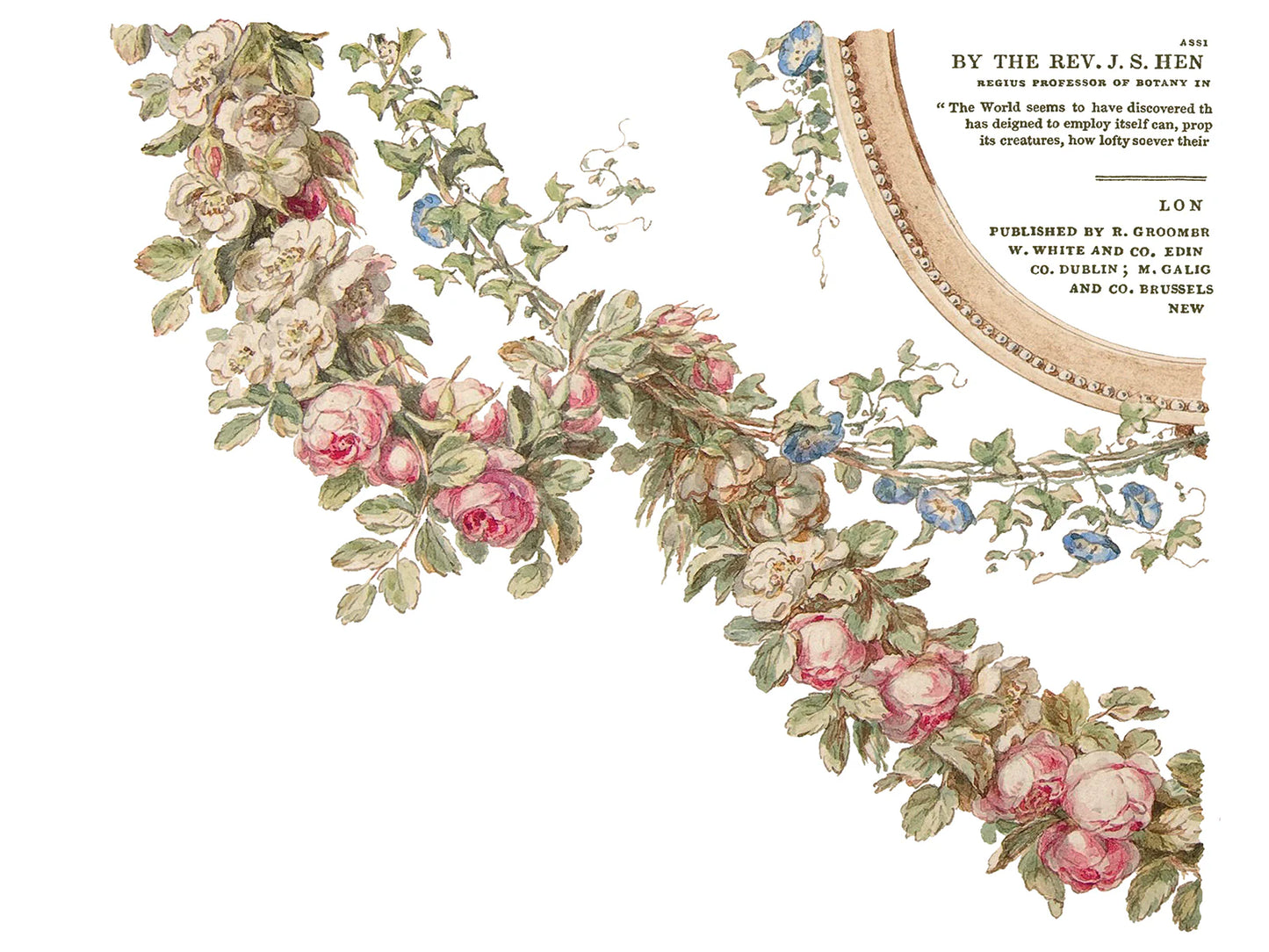 The Botanist -  4 Sheets, 12x16 Pad IOD Decor Transfer RETIRED
