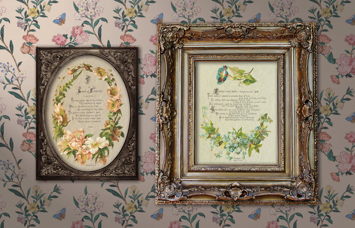 Lover of Flowers - 8 Sheet,  8x12 Pad IOD Decor Transfer™