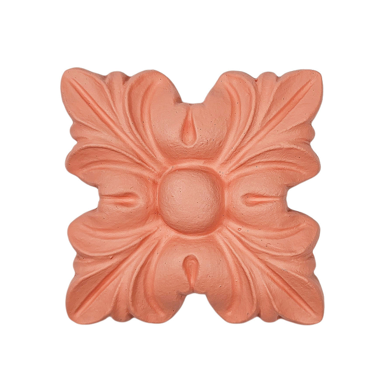 Coral Passion - Paint Couture