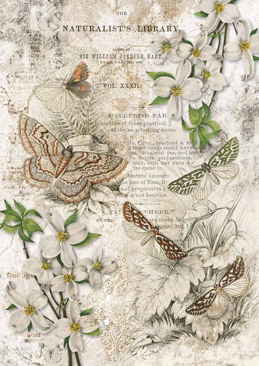 Naturalist Library - A4 8.3 x 11.7 Rice Paper by Decoupage Queen