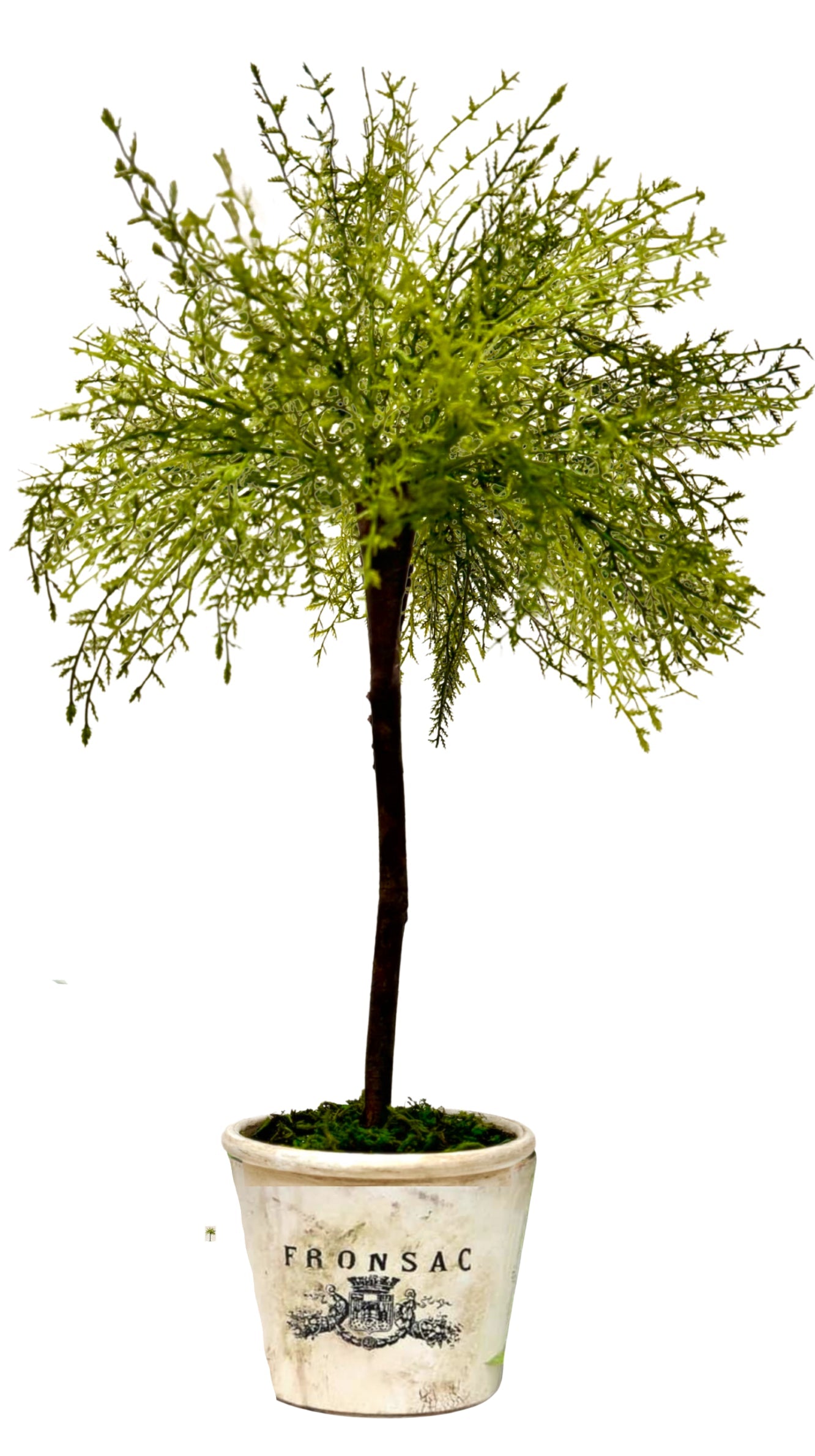 02-28-26 (12pm-3pm) 22in Faux Topiary Tree & Planter