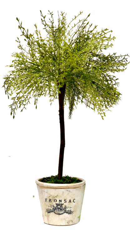 02-28-26 (12pm-3pm) 22in Faux Topiary Tree & Planter