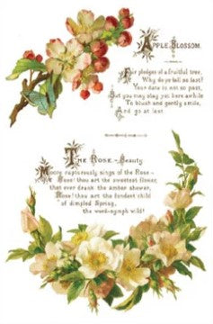 Lover of Flowers - 8 Sheet,  8x12 Pad IOD Decor Transfer™