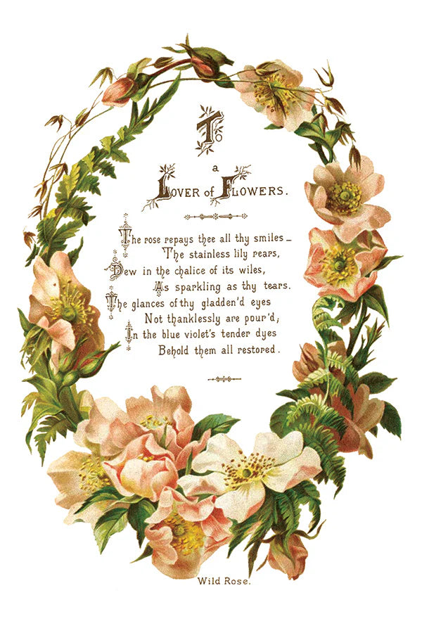 Lover of Flowers - 8 Sheet,  8x12 Pad IOD Decor Transfer™