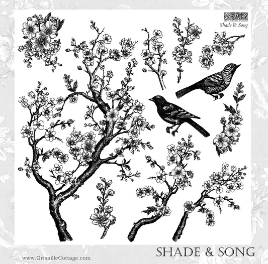 Shade & Song - IOD Decor Stamp