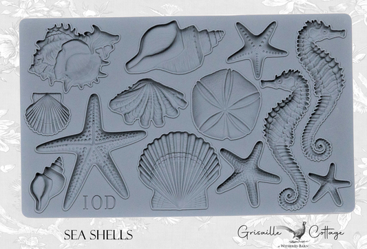 Sea Shells ~ IOD Decor Mould