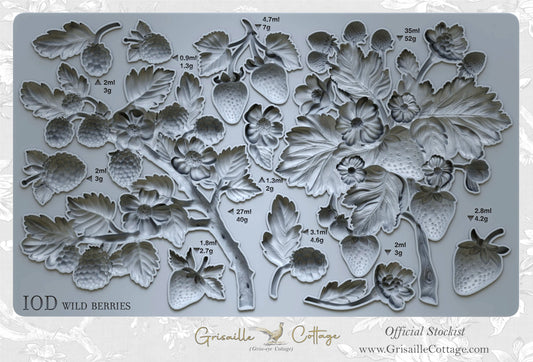 Wild Berries - IOD Decor Mould