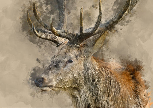 Yes, Deer 23x33 ( A1 ) - MINT by Michelle