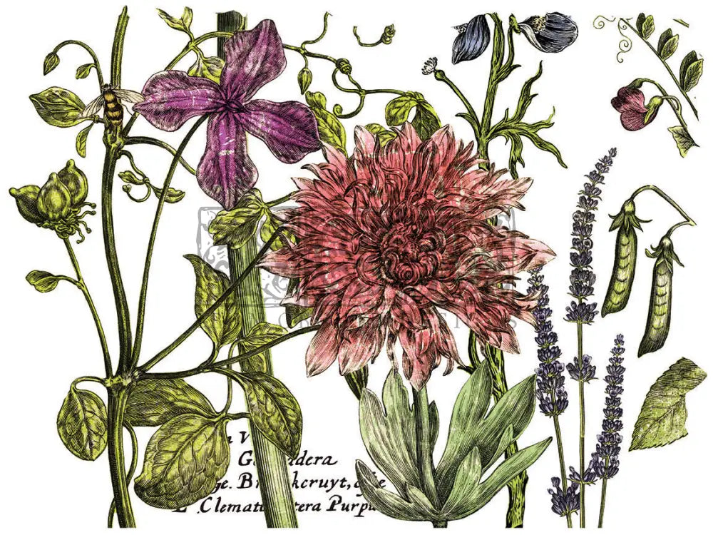Botanist Journal -4 Sheet, 12x16 Pad IOD Decor Transfer™