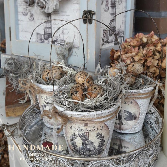 02-04-26 (12pm-3pm) Peat Spring Basket Set