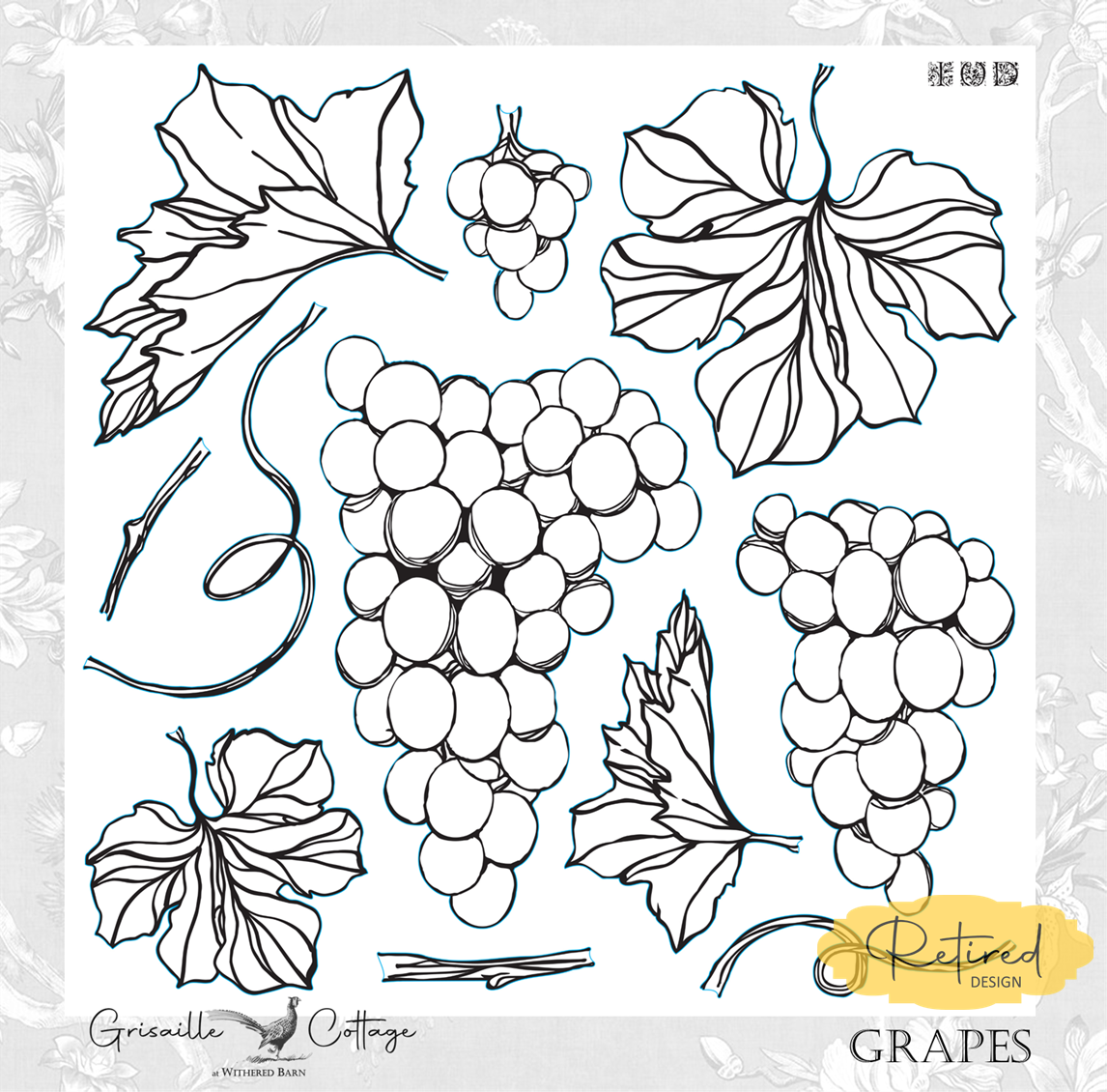 Grapes - IOD Decor Stamp  RETIRED